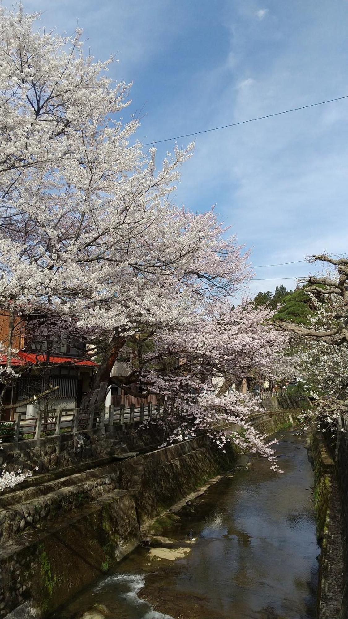 Daihachi Hotell Takayama  Exteriör bild